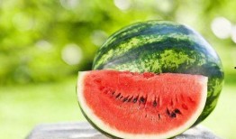 济宁古茗吃瓜,吃瓜群众的夏日消暑新宠