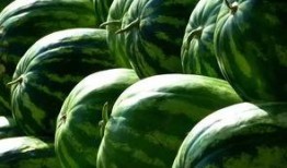 吃瓜品瓜,揭秘娱乐圈的甜蜜与苦涩