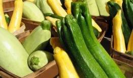 临漳吃瓜,探寻地方特色美食之旅