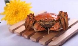 吃完河蟹吃瓜恶心