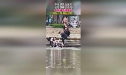 奇葩婚礼吃瓜群众视频,吃瓜群众直呼“太离谱”！