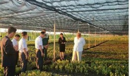 考察苗圃吃瓜视频