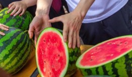 大学在线课堂吃瓜,揭秘大学在线课堂的“吃瓜”盛况