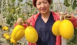 奥运吃瓜路线,一场美食与赛事的完美邂逅