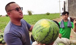 公司吃瓜照片,吃瓜照片里的温馨瞬间