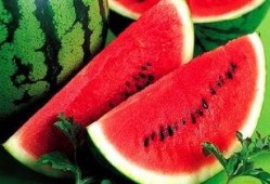 吃瓜可以变瘦吗,揭秘瓜果中的瘦身秘密