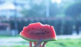 吃瓜世间,揭秘娱乐圈背后的故事与真相