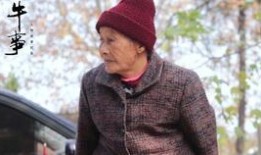 吃瓜大金牙视频,一场视频盛宴背后的故事