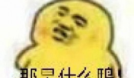 吃瓜眼神表情包,揭秘网络社交中的“吃瓜”文化