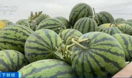 临漳吃瓜,探寻地方特色美食之旅