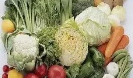 小透明吃瓜菜菜