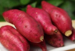 皮炎可以吃土瓜不,天然食材的神奇疗效