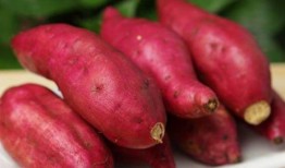 皮炎可以吃土瓜不,天然食材的神奇疗效