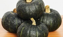 贝贝瓜可以长期吃吗,长期食用的健康之选