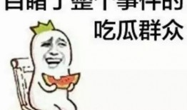 小阿伟吃瓜群众,吃瓜群众的视角，揭秘娱乐圈风云
