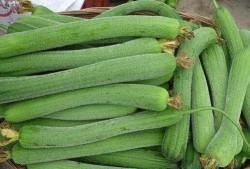 就喜欢吃瓜,探寻那些令人垂涎的瓜类美味