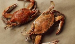 吃完河蟹吃瓜恶心