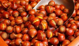 雪山大瓜栗子怎么吃,解锁美味新食法