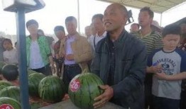 梨花巷吃瓜群众,吃瓜群众的欢乐盛宴