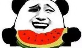 吃瓜协会副会长,瓜界风云录